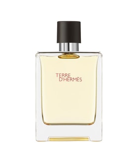 Hermes Terre D`Hermes EDT 100 ml Erkek Parfümü