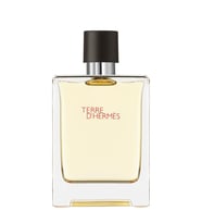 Hermes Terre D`Hermes EDT 100 ml Erkek Parfümü