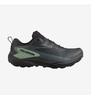Salomon Genesıs Gtx Erkek Koşu Ayakkabısı Siyah