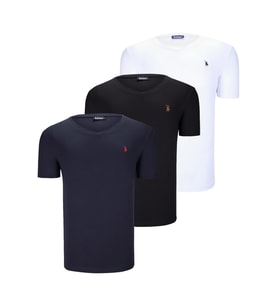 ÜÇLÜ SET T8568 DEWBERRY V YAKA ERKEK T-SHIRT-KOYU SİYAH-KAR BEYAZ-KOYU LACİVERT (Karışık)