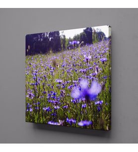 MOR ÇİÇEK TARLASI MANZARASI KANVAS TABLO 120x120cm (Karışık)