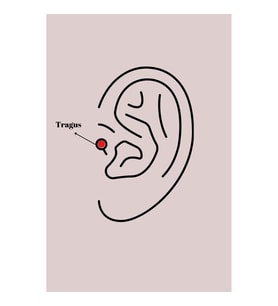 316L Çelik Gümüş Renk Zirkon Taş Detay Beyaz Çiçek Model Tragus Piercing - TJ-PR1359 TG-V 7606