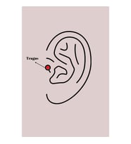 316L Çelik Gümüş Renk Zirkon Taş Detay Beyaz Çiçek Model Tragus Piercing - TJ-PR1359 TG-V 7606