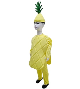 Ananas Kostümü