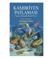 Kambriyen Patlaması
