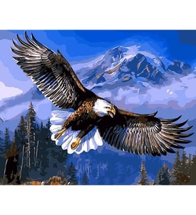 Kartal Sayılarla Boyama Seti 40x50 cm (Tuvale Gerili)