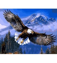 Kartal Sayılarla Boyama Seti 40x50 cm (Tuvale Gerili)