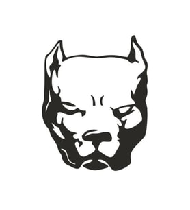 Pitbull Köpek Sticker 15*11,5 Cm