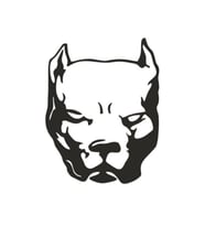 Pitbull Köpek Sticker 15*11,5 Cm