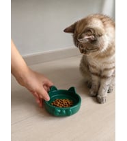 Papyon Model Beton Kedi Köpek Mama ve Su Kabı 16 cm çap - Yeşil