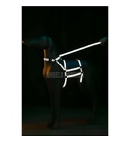 Reflektörlü - Ayarlanabilir Köpek Harness - Köpek Gezdirme Aparatı (Beyaz)