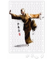 Shaolin Monk Shaolin Kung Fu Puzzle 240 Parça Yapboz