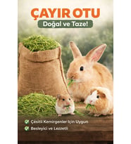 Doğal Çayır Otu Kemirgen Yemi Tavşan Hamster Ginepig Chinchilla Doğal Kurutulmuş Kemirgen Otu 300 Gr