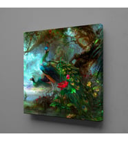 YAĞLI BOYA TAVUSKUŞU KANVAS TABLO 150x150cm