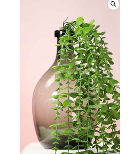 Bitki Sarkıt Okaliptüs Tesbih Dekor Çiçegi 80 Cm 15 Dallı (SAKSISIZ)
