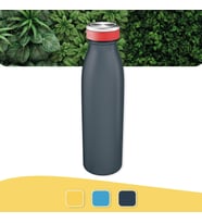 Leitz Cosy Yalıtımlı Termos Su Şişesi 500 Ml (Çok Renkli)