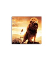 DBSanatevi Vahşi Aslan Tablo 40 X 60 Cm