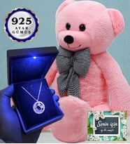 Işıklı Kutusunda 925 Ayar Gümüş Kolye ve 80cm Pembe Peluş Ayıcık (Model 6)