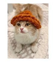 El yapımı örgü puffy kedi beresi, evcil hayvan beresi
