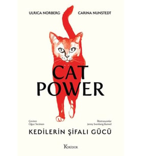 Kedilerin Şifalı Gücü