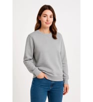 Üç İplik Düz Bisiklet Yaka SweatShirt - Gri