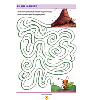 BİLSEM Labirent Kitabı (1, 2, 3 ve 4. Sınıflar İçin)