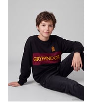 LCW Kids Siyah Harry Potter Erkek Çocuk Sweatshirt