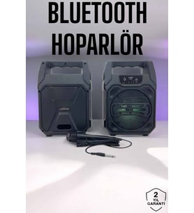 6.5 İnç Kablosuz Hoparlör Bluetooth Bağlantılı Yüksek Ses Kaliteli