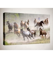 Kanvas Tablo - 30x40 cm  - Hayvan Tabloları - HY53