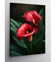 Kanvas Tablo Kırmızı Calla Lily Çiçekleri