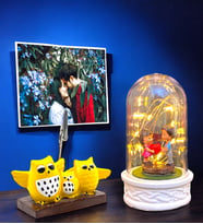 Kişiye Özel Fotoğraflı Set  Led Işıklı Fanus ve Baykuş Tasarımlı Fotoğraf Tutucu  Özel Set (Model 7)