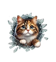 Kedi Araba Sticker 17Cm Arka Cam için Uygun