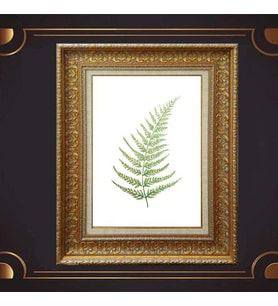 Gold Altın Kalın Çerçeveli Paspartulu Tablo c1019