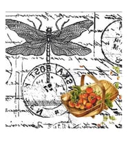 Artebella 5828V Home Design Kolay Transfer 25x25 cm 