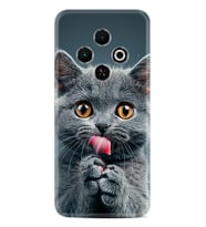 Spark 30C Kılıf Boutique Baskılı Resimli Komik Kedi Pcode -008