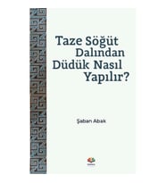 Taze Söğüt Dalından Düdük Nasıl Yapılır?