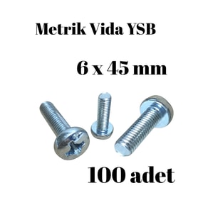 Metrik Vida YSB 6X45 100 Adet Yıldız Silindir Başlı Vida