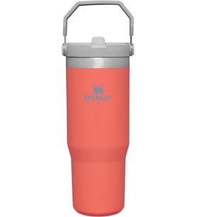 Stanley The Iceflow Flip Straw Pipetli Termos 0,89 L Açık Mercan