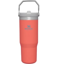 Stanley The Iceflow Flip Straw Pipetli Termos 0,89 L Açık Mercan