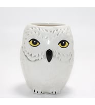 Harry Potter Hedwig Tasarım Porselen Kupa Bardak Alk4494