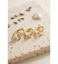 3 lü Set Çiçek Model Gold Renk Kadın Küpe TJ-BKP11960