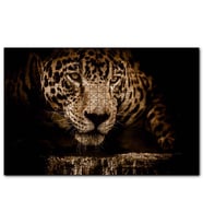 Cakapuzzle Jaguar Pusuda Yakın Plan 120 Parça Puzzle Yapboz MDF (Ahşap)