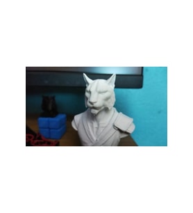 Skyrim Khajit Dovahkiin Büst