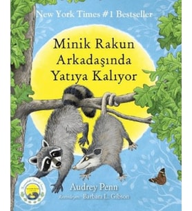 Minik Rakun Arkadaşında Yatıya Kalıyor