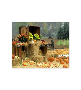 Ahşap Tablo Kabaklar Samanlar Ve Kasalar (25x35 Cm Boyut)