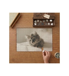 Sevimli Küçük Tüylü Kedi Tasarımı 240 parça Ahşap Puzzle Ahşap Kutuda MP04135