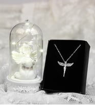 Işıklı Melek Fanus & Melek Kolye Hediye Seti