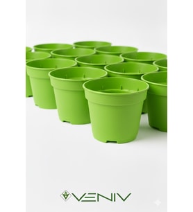 Renkli Saksı Yetiştime Saksısı 10 Adet-0.3L