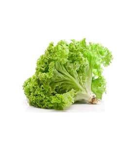 Yazlık Kıvırcık Marul Tohumu 10 Gr