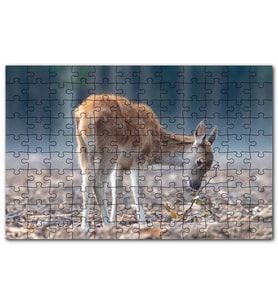 Cakapuzzle Yavru Geyik ve Yerde Kuru Yapraklar Puzzle Yapboz MDF (Ahşap) (120 Parça)